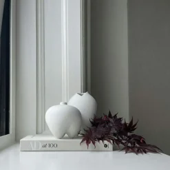 Sumo Petit Vas, Benvit