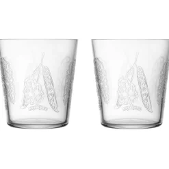 Iittala Dricksglas-Taika Sato Glas 2-pack, 38 cl