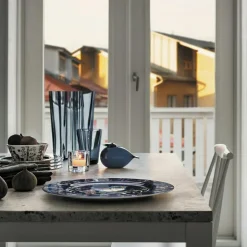 Iittala Mattallrikar-Taika Tallrik 22 cm