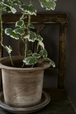 Terracotta Kruka Med Fat Ø24 cm