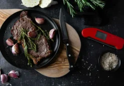 ETI Termometrar & Kökstimers-Thermapen One Termometer, Svart