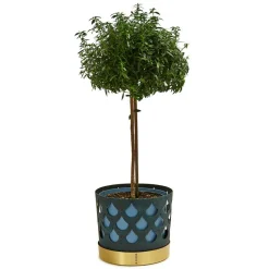 Klong Krukor-Trio Blomkruka Mellan Drop,