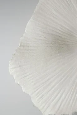 Globen Lighting Vägglampor-Tropez Vägglampa , 60 cm