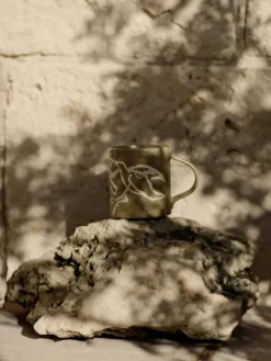 Vuelo Mugg, Elm Green