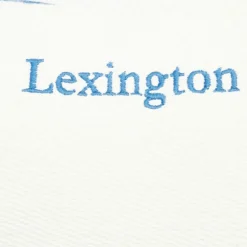 Waves Recycled Heavy Cotton Twill Kudde 30x50 cm, Vit/Blå