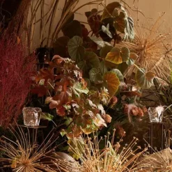 Xtal Bordslampa Portabel, Klar