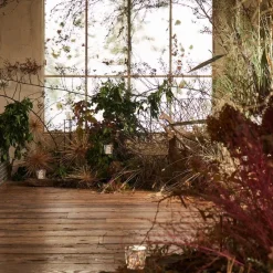 Xtal Bordslampa Portabel, Klar