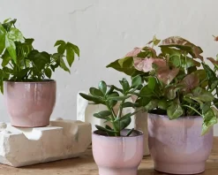 Knabstrup Keramik Krukor-Ytterkruka Ø12,5 cm, Rosa